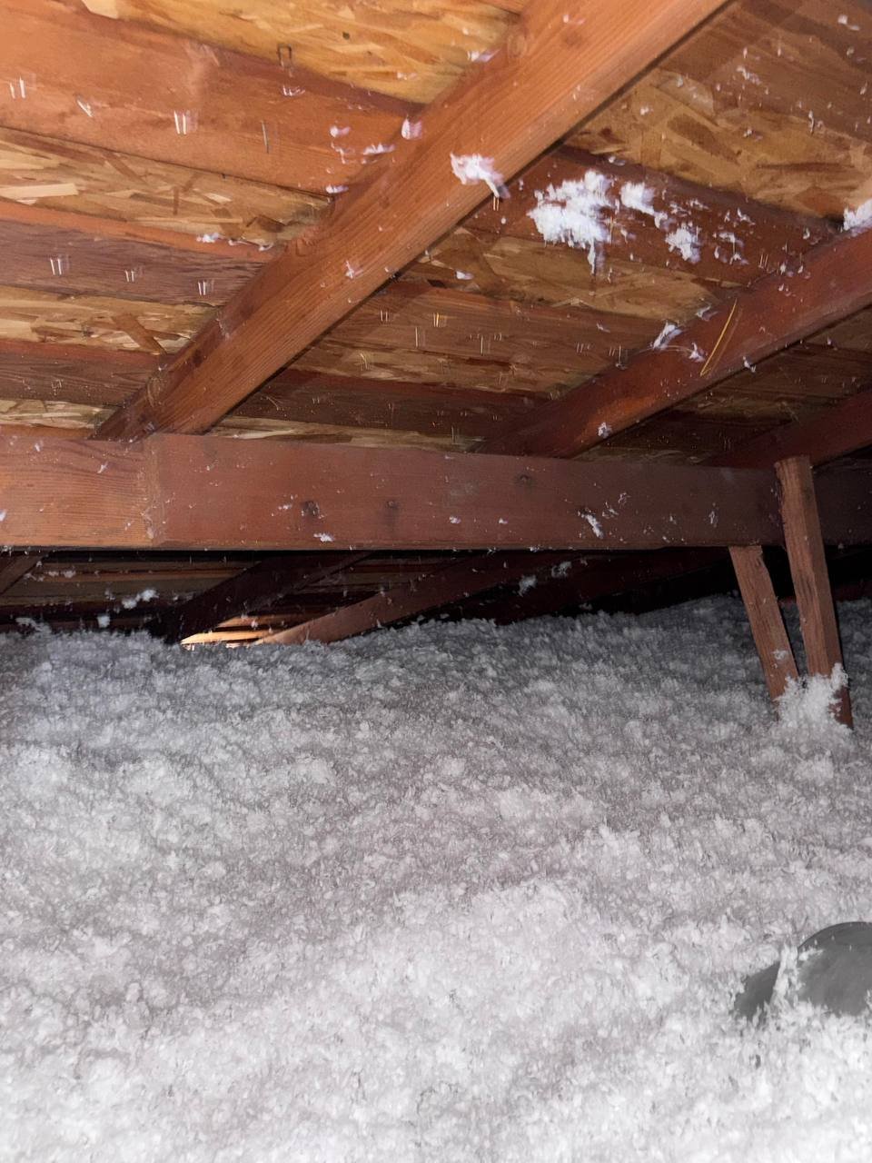 Finished blown-in insulation across a San Jose attic