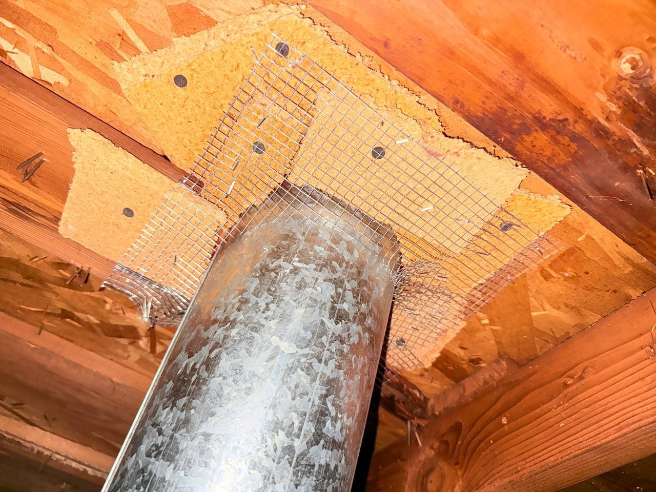 Wire mesh rodent proofing around a flue in a San Jose attic
