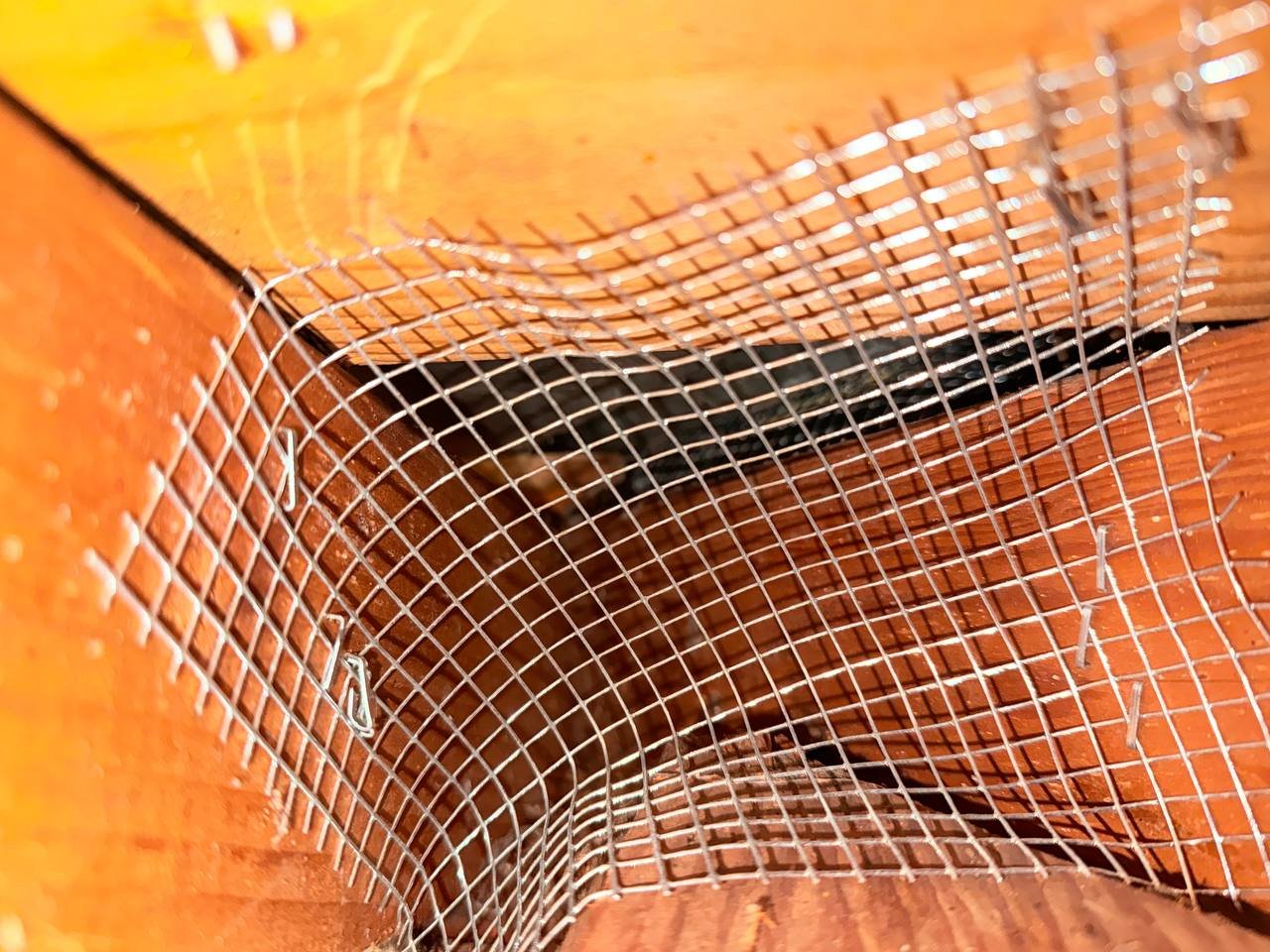 Wire mesh at attic framing corners in San Jose