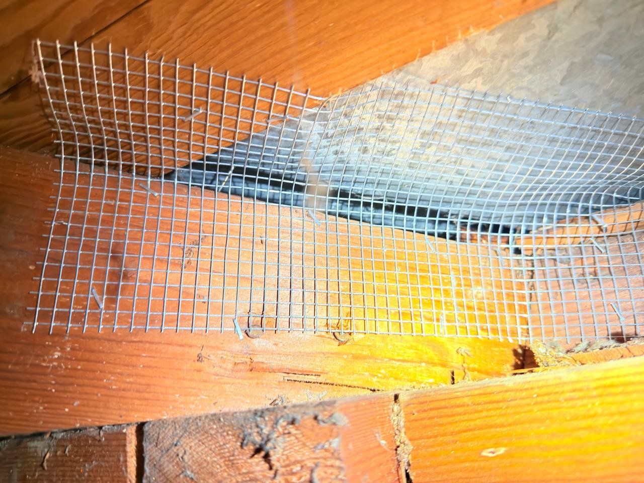 Wire mesh rodent proofing at an attic edge in San Jose