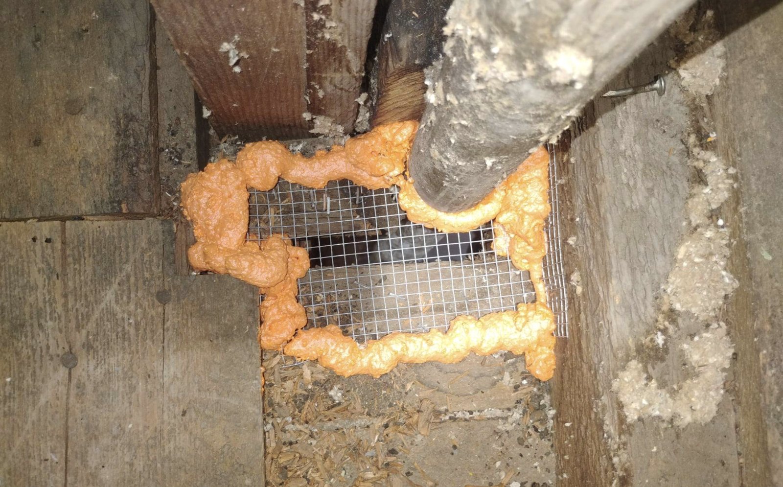 Wire mesh and foam sealing an attic opening in San Jose