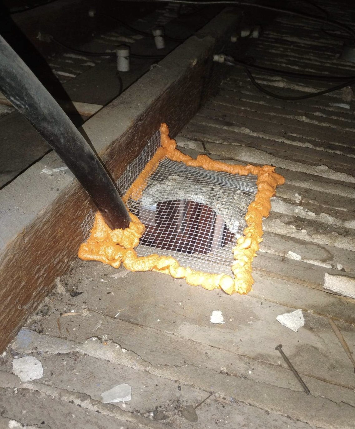 Attic vent sealed with wire mesh and foam in San Jose