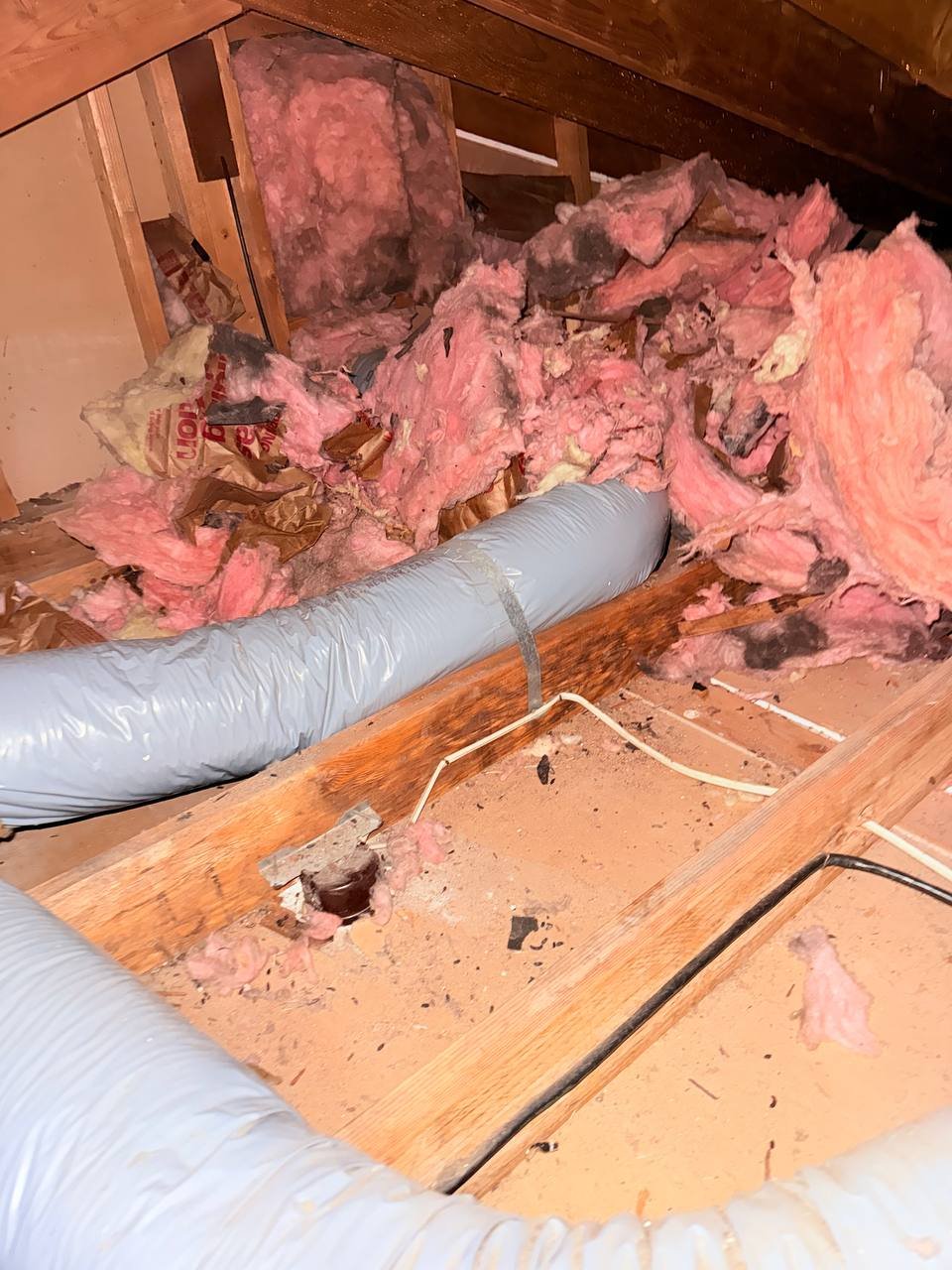 Contaminated old insulation in the San Jose attic before work