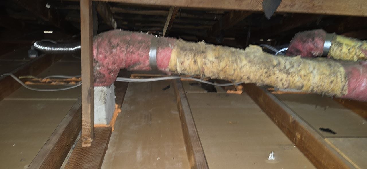 San Jose attic after removal, joists and deck cleaned