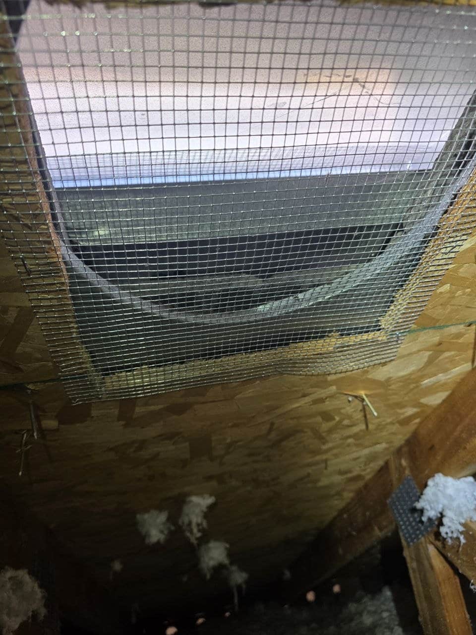 Attic vent screened with wire mesh in San Jose
