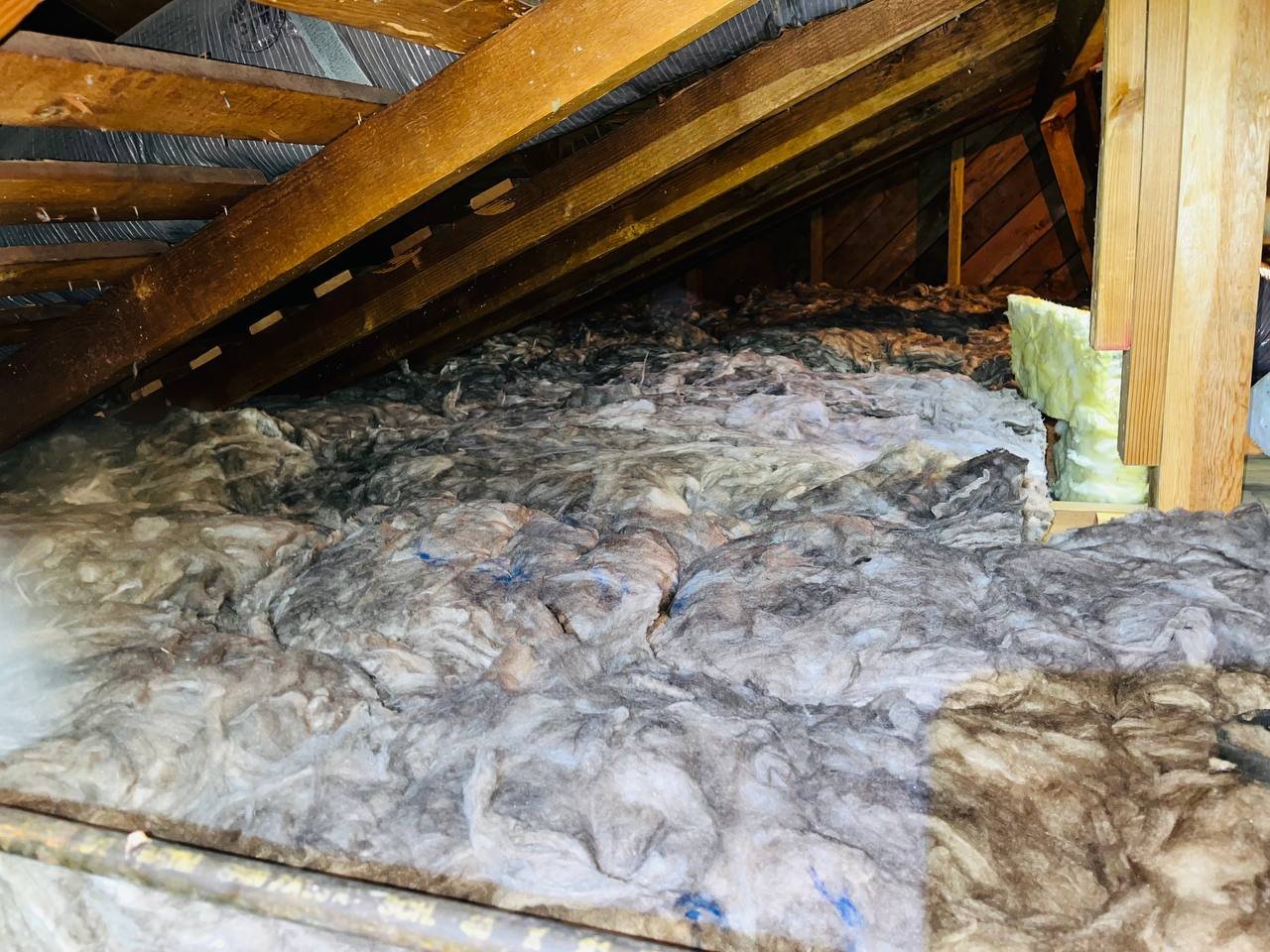 San Jose attic before work, old insulation