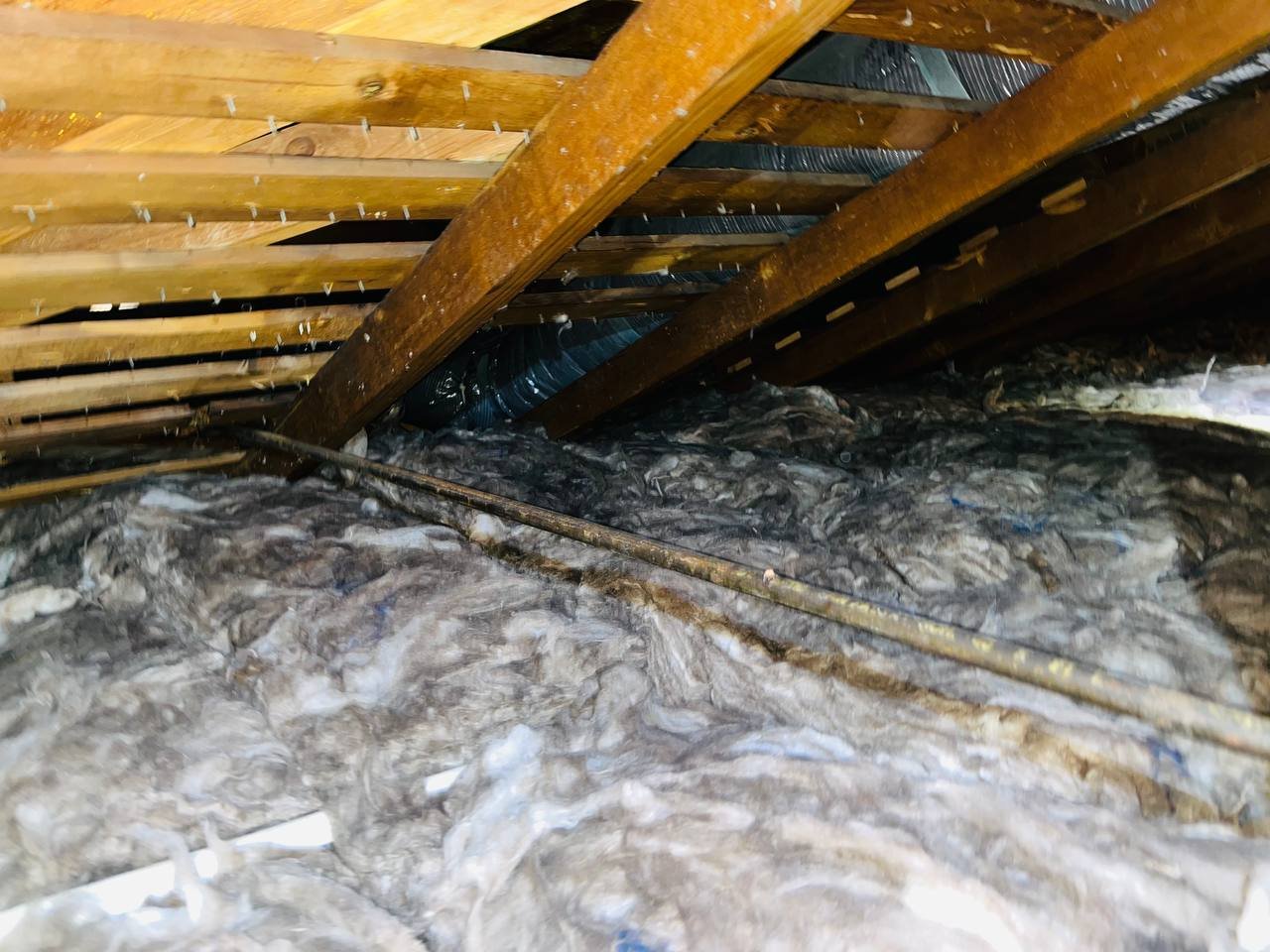Another area of old insulation in the San Jose attic before work