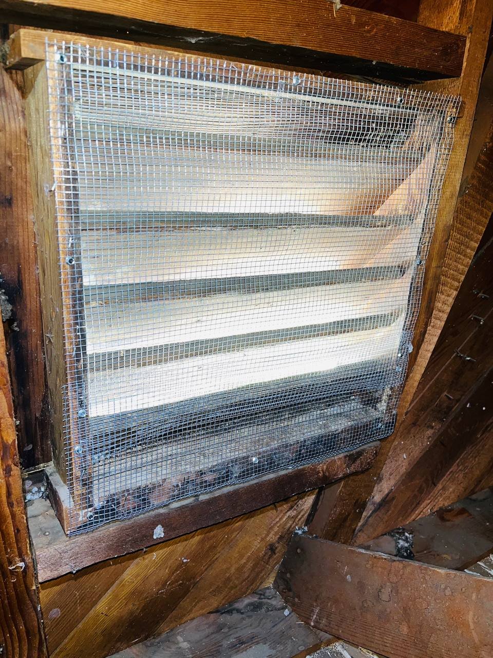Attic vent screened with wire mesh in San Jose