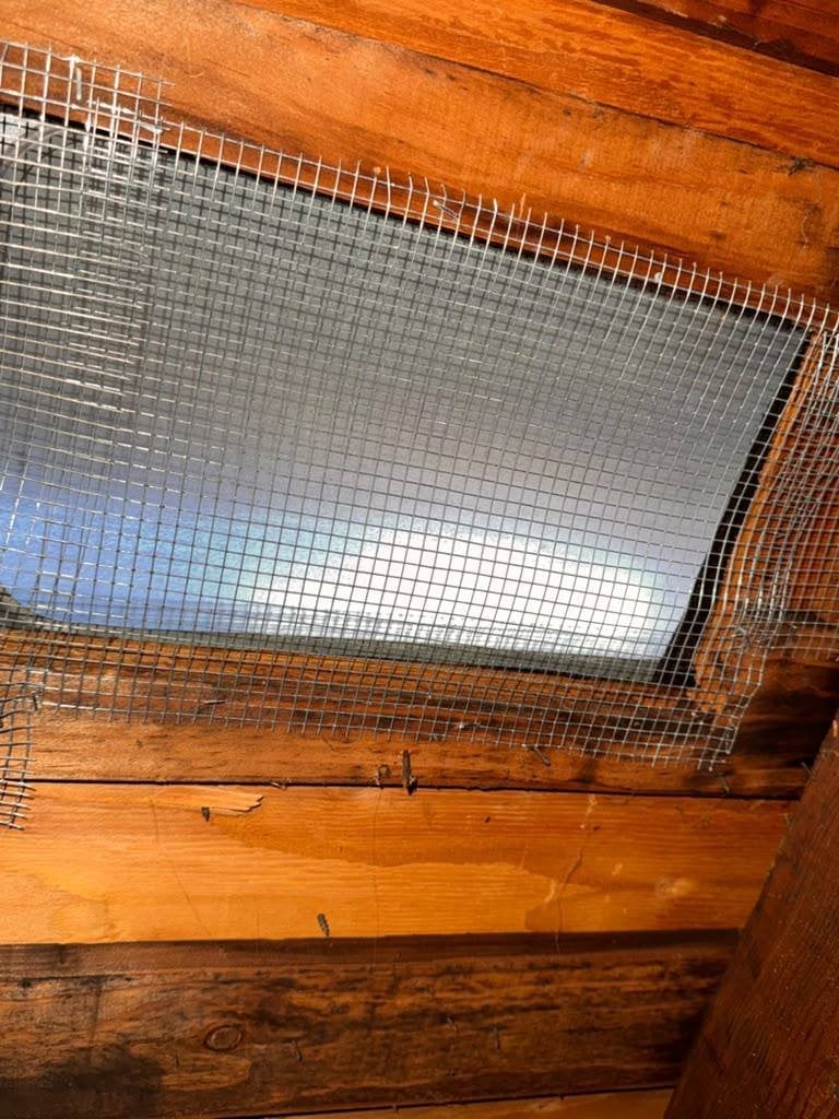 Attic vent screened with wire mesh in San Rafael