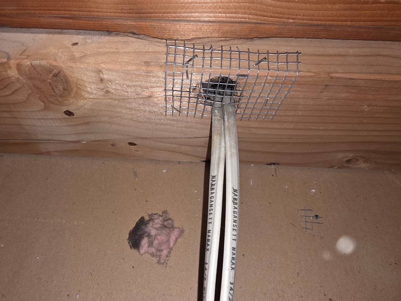 Wire mesh around wiring through attic framing in San Ramon