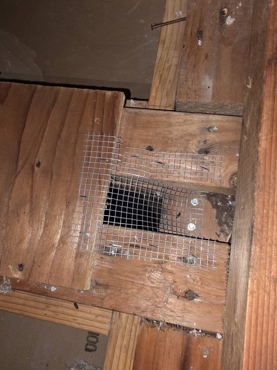 Opening in attic framing closed with wire mesh in San Ramon