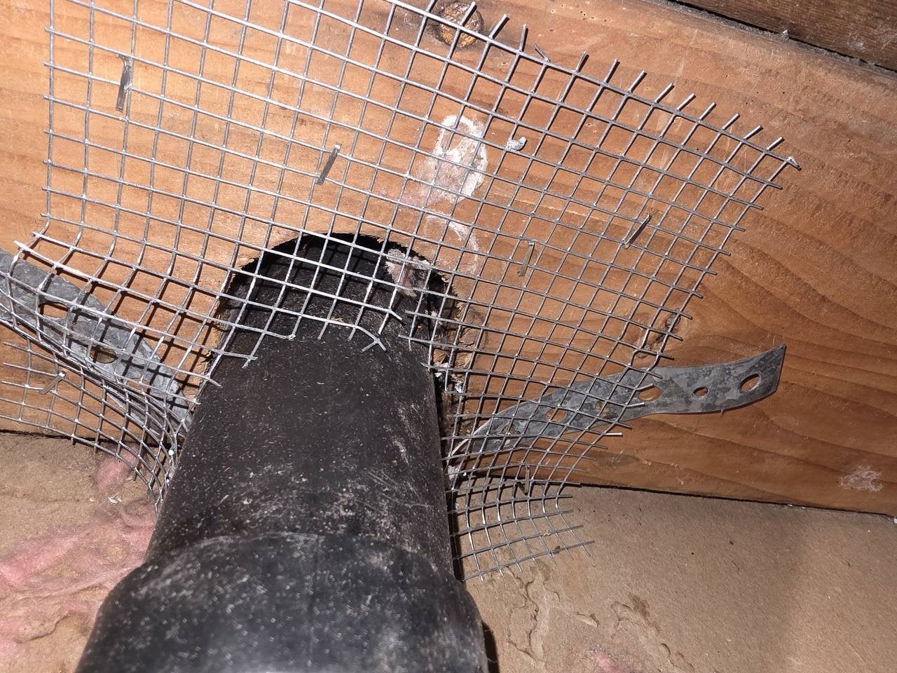 Wire mesh fitted around a pipe in a San Ramon attic