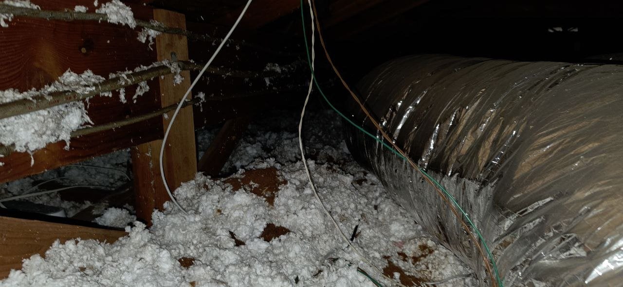 Another area of old insulation in the Santa Clara attic before work