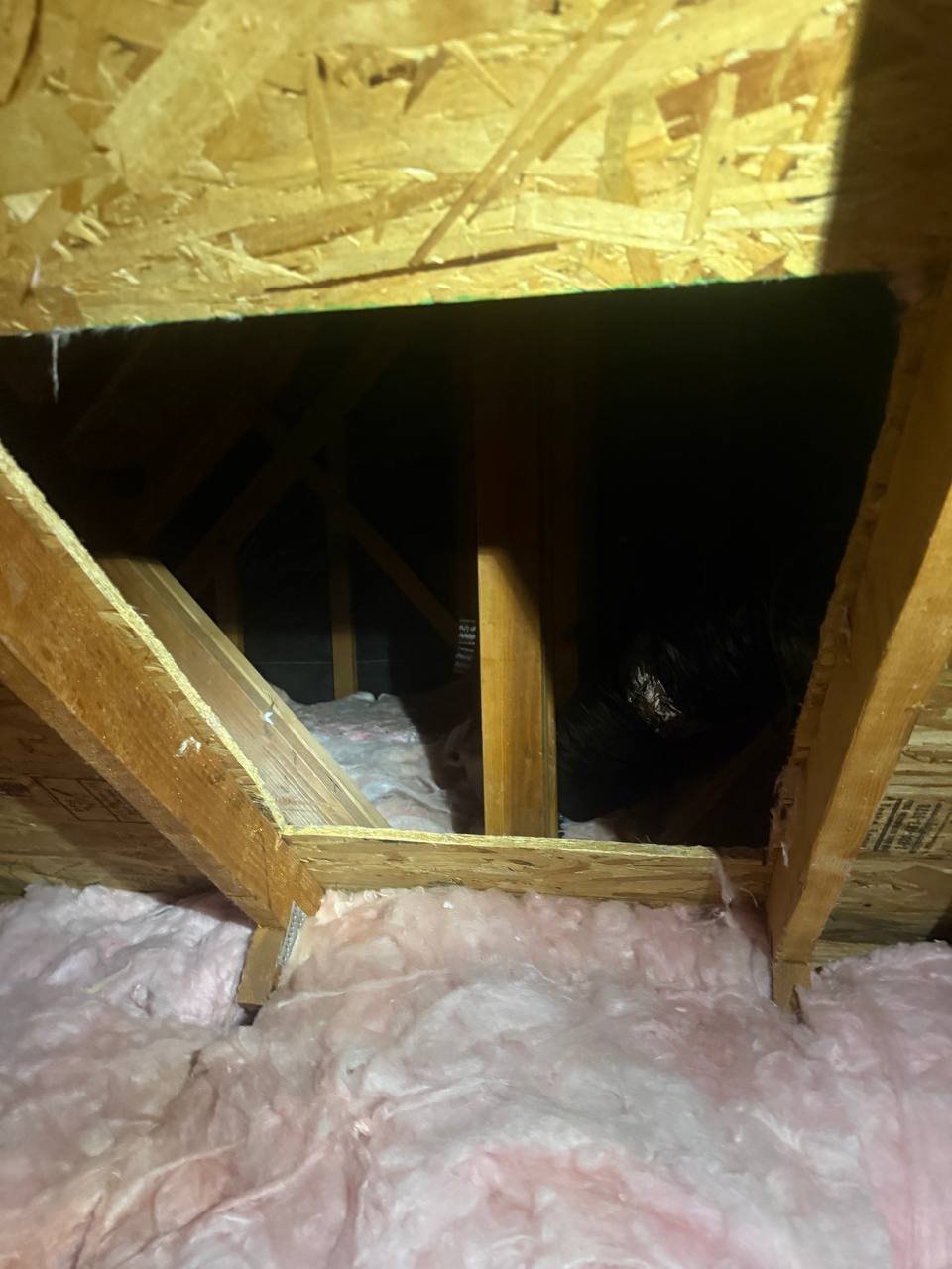 Finished Santa Clara attic with new insulation