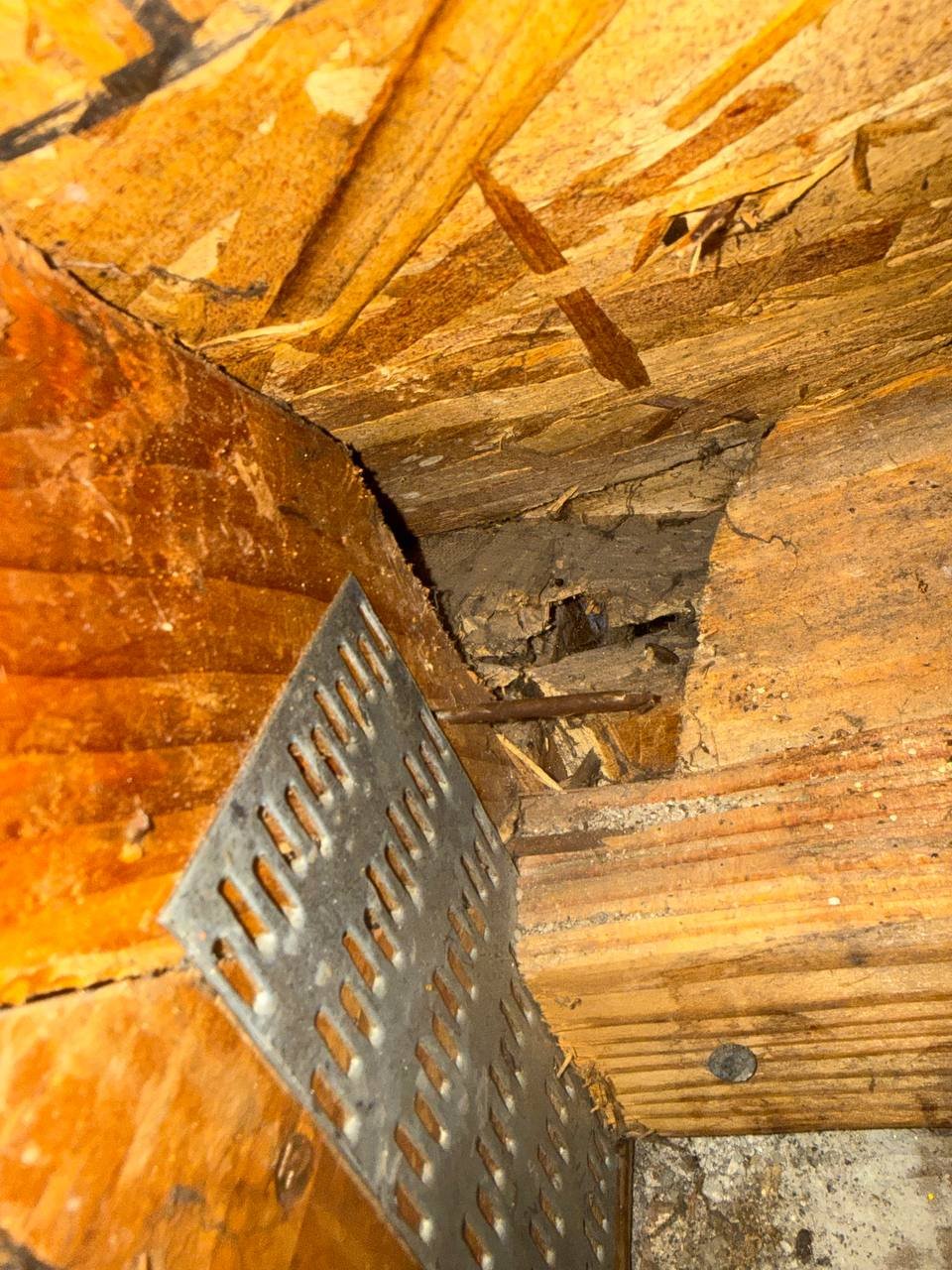 Open gap at the attic framing in Santa Clara before sealing