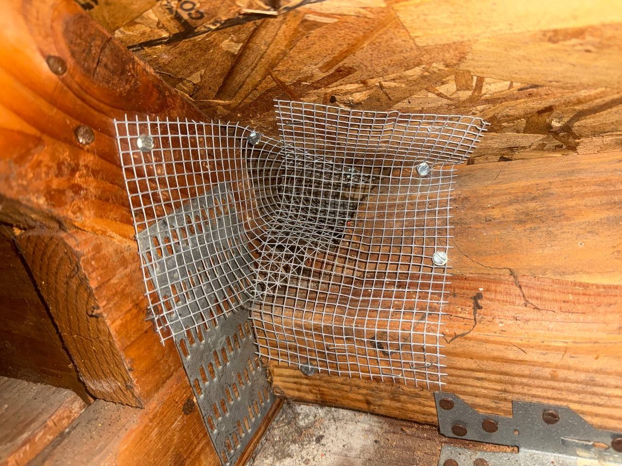 Wire mesh at attic framing corners in Santa Clara
