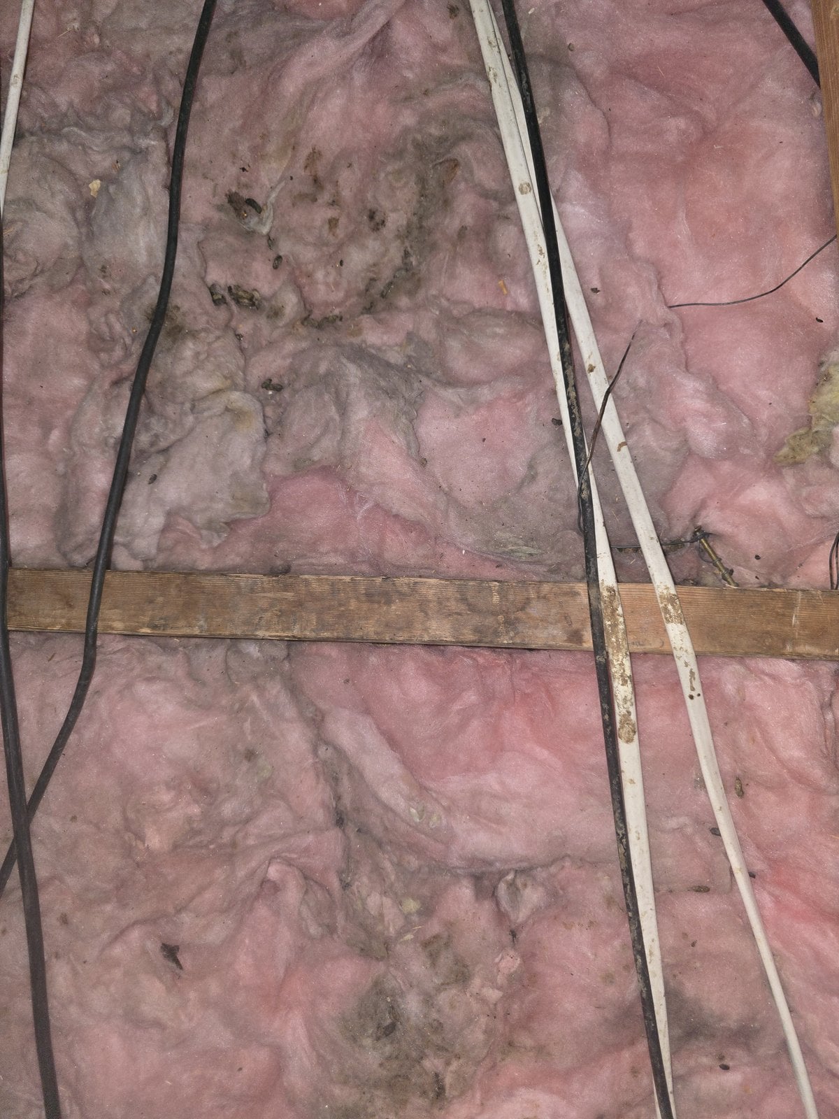 Santa Clarita attic before work, old insulation
