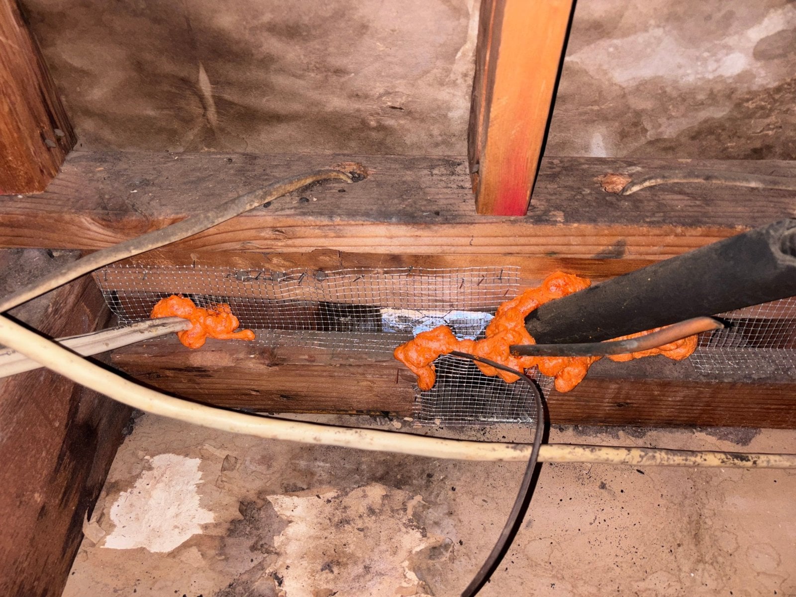 Wire mesh and foam sealing along the wall framing in a Santa Clarita attic
