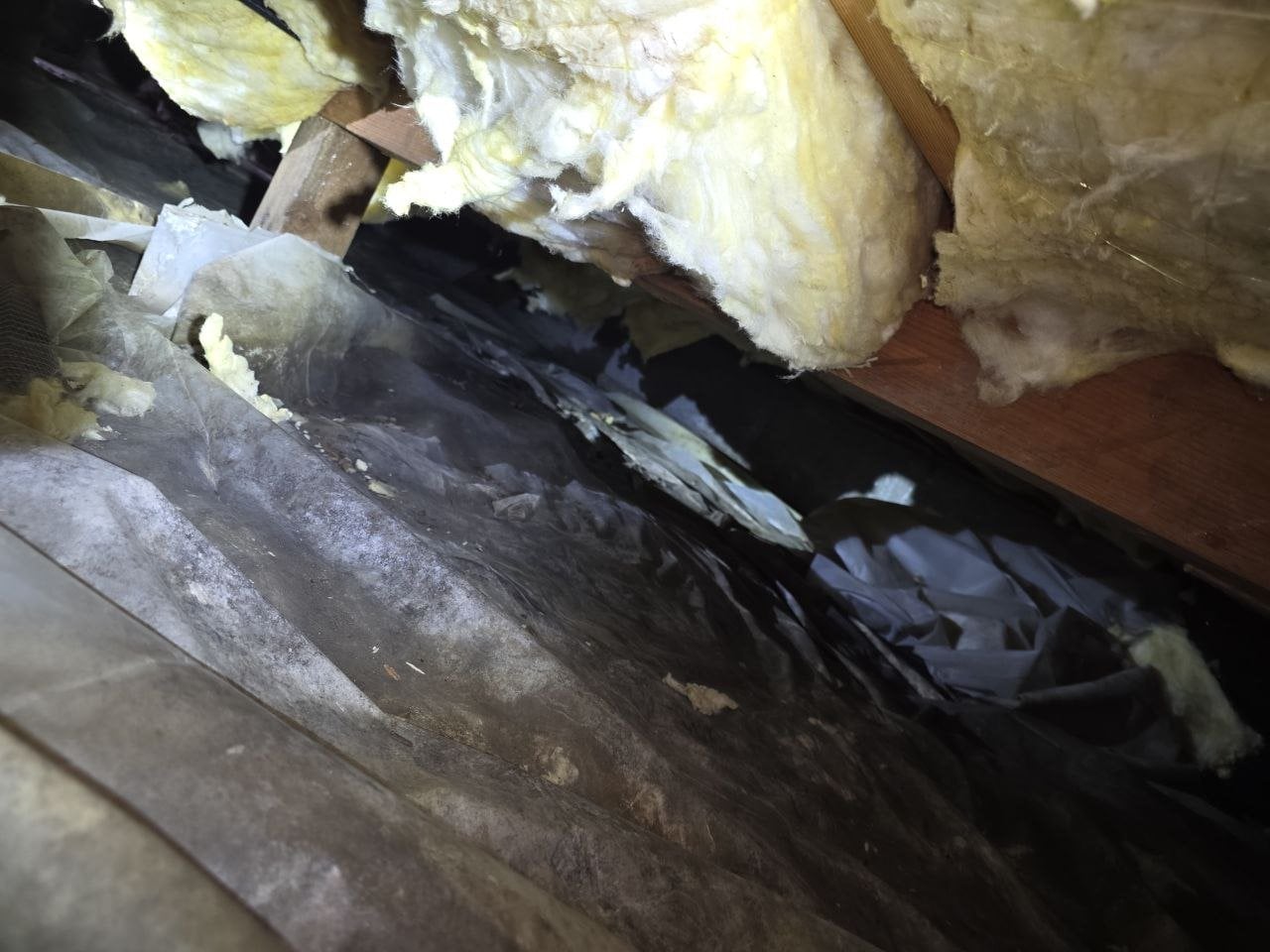 Sagging old insulation in a Santa Rosa crawl space before work