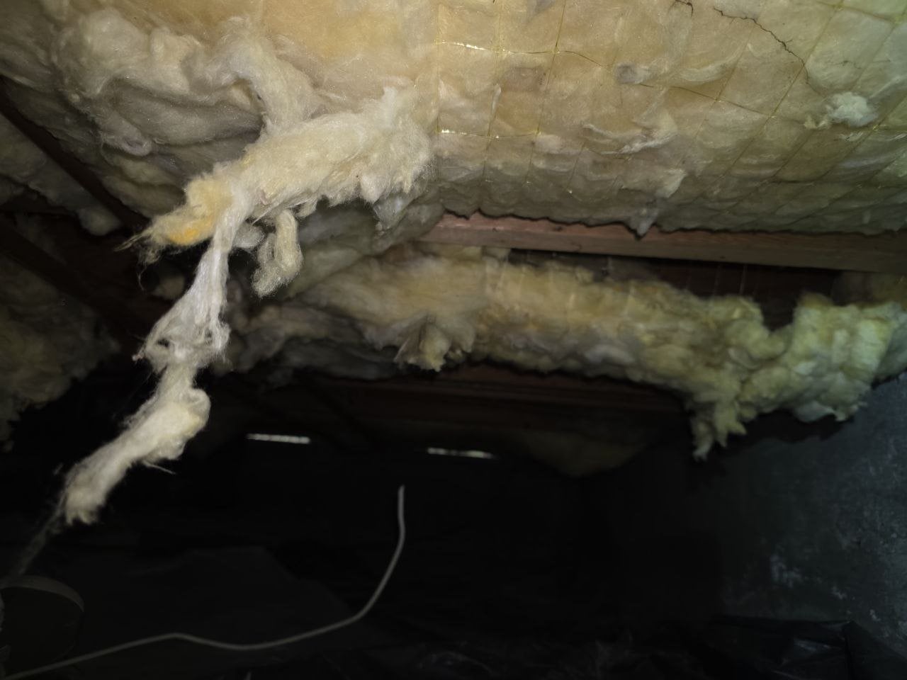 Loose old batts under the floor of a Santa Rosa crawl space before work