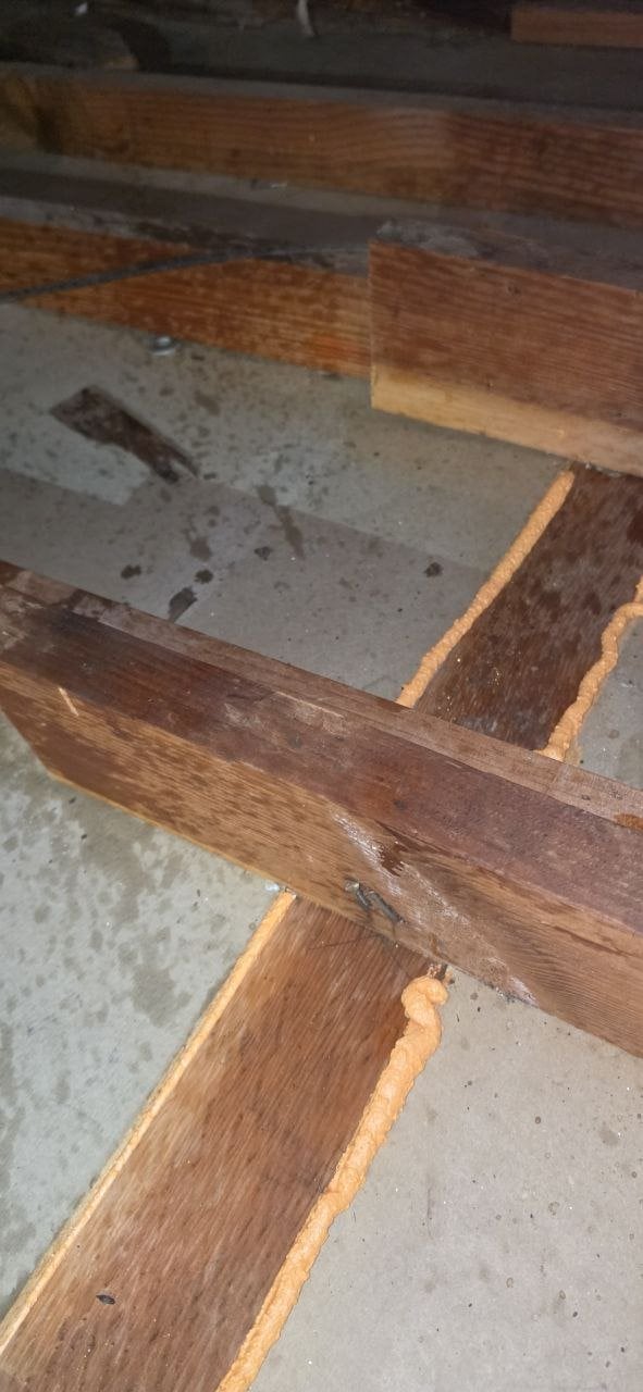 Foam sealing along attic joists in Santa Rosa