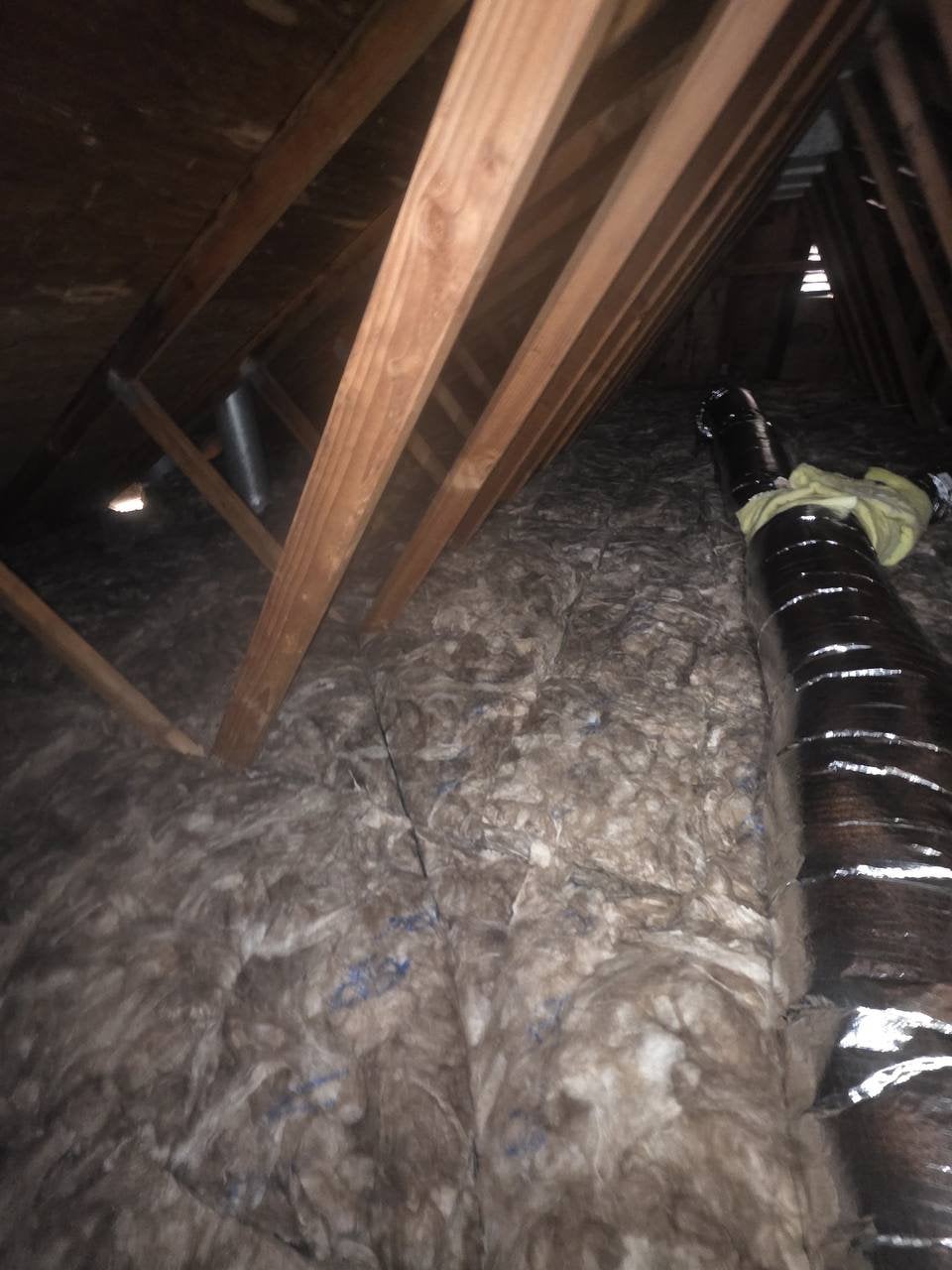 Attic Insulation Replacement & Rodent Proofing in Santa Rosa, CA