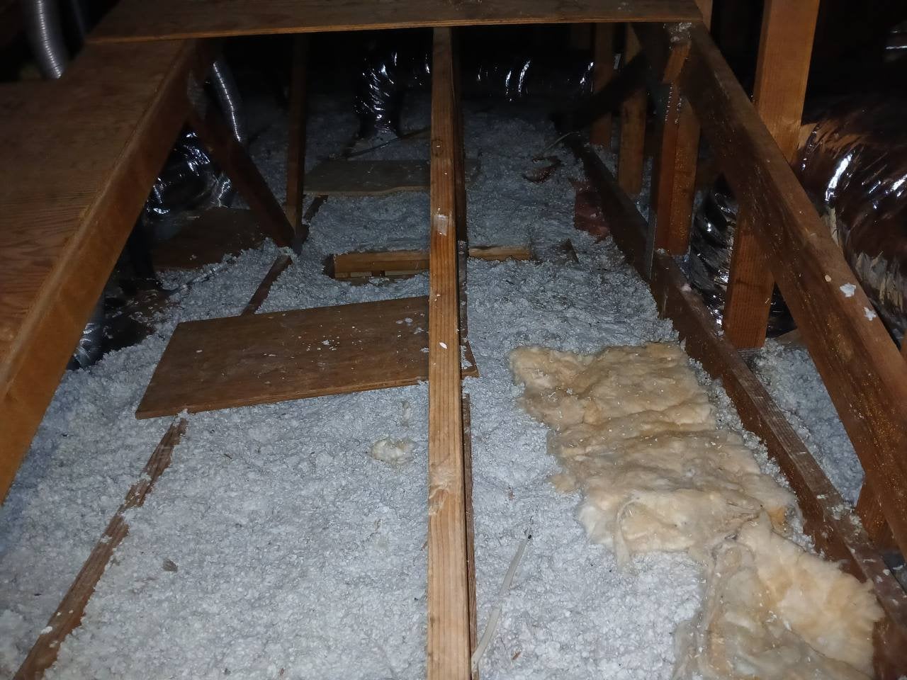 Another area of old insulation in the Santa Rosa attic before work