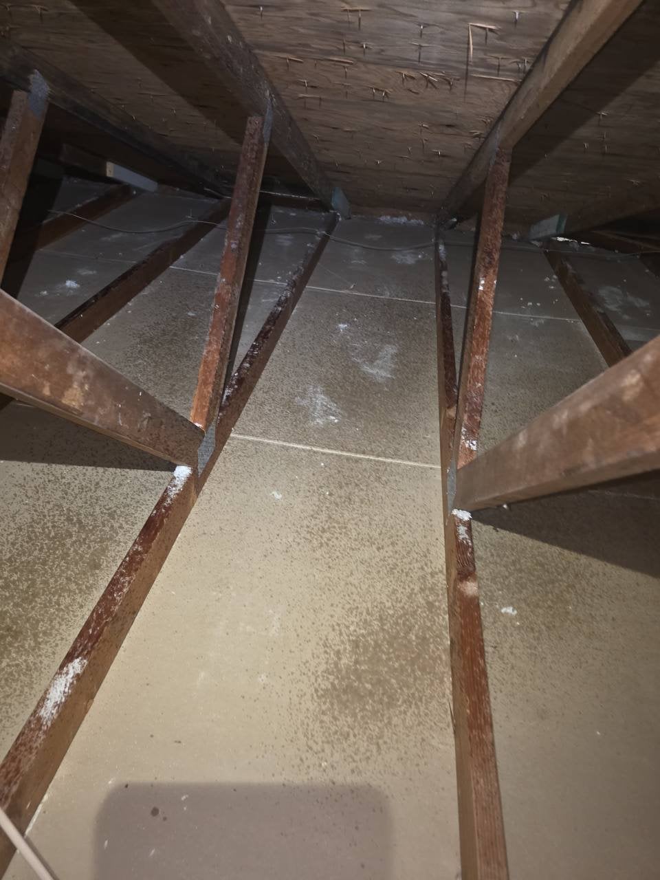 Santa Rosa attic after removal, joists and deck cleaned