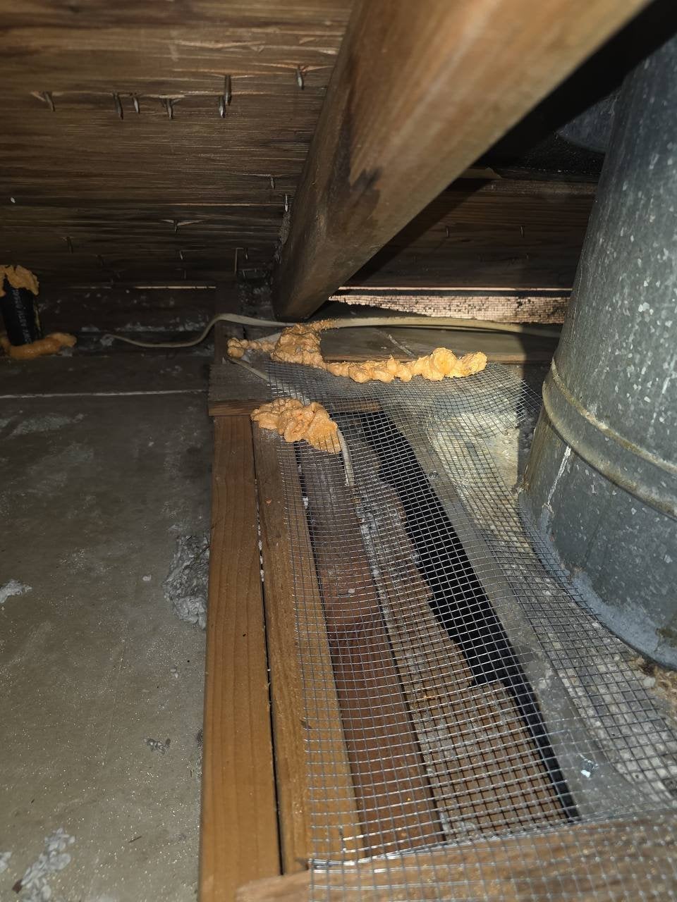 Wire mesh and foam sealing an attic opening in Santa Rosa