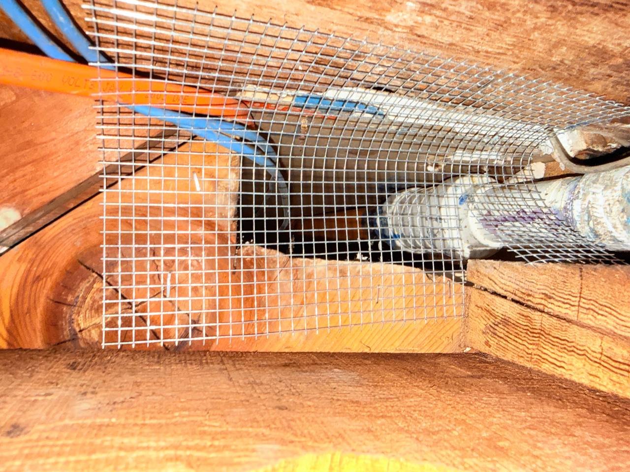 Wire mesh sealed around a pipe penetration in a Sunnyvale attic