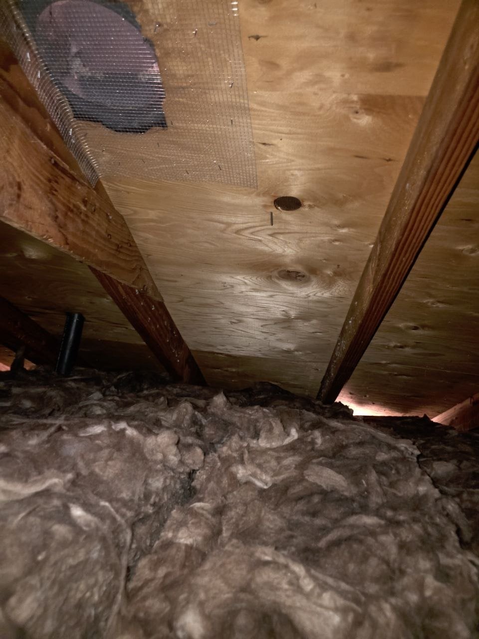 Sunnyvale attic after the job, new insulation installed