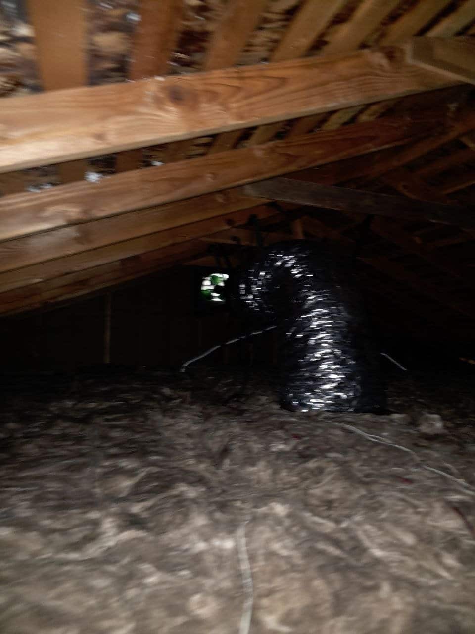 Attic fan and new insulation in a Sunnyvale attic