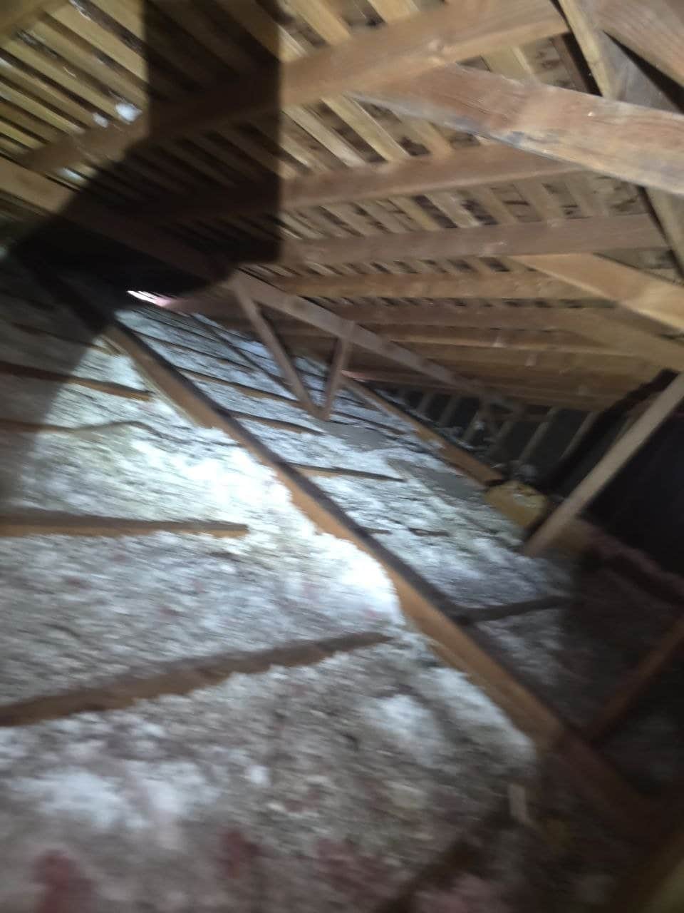 Sunnyvale attic before work, old insulation