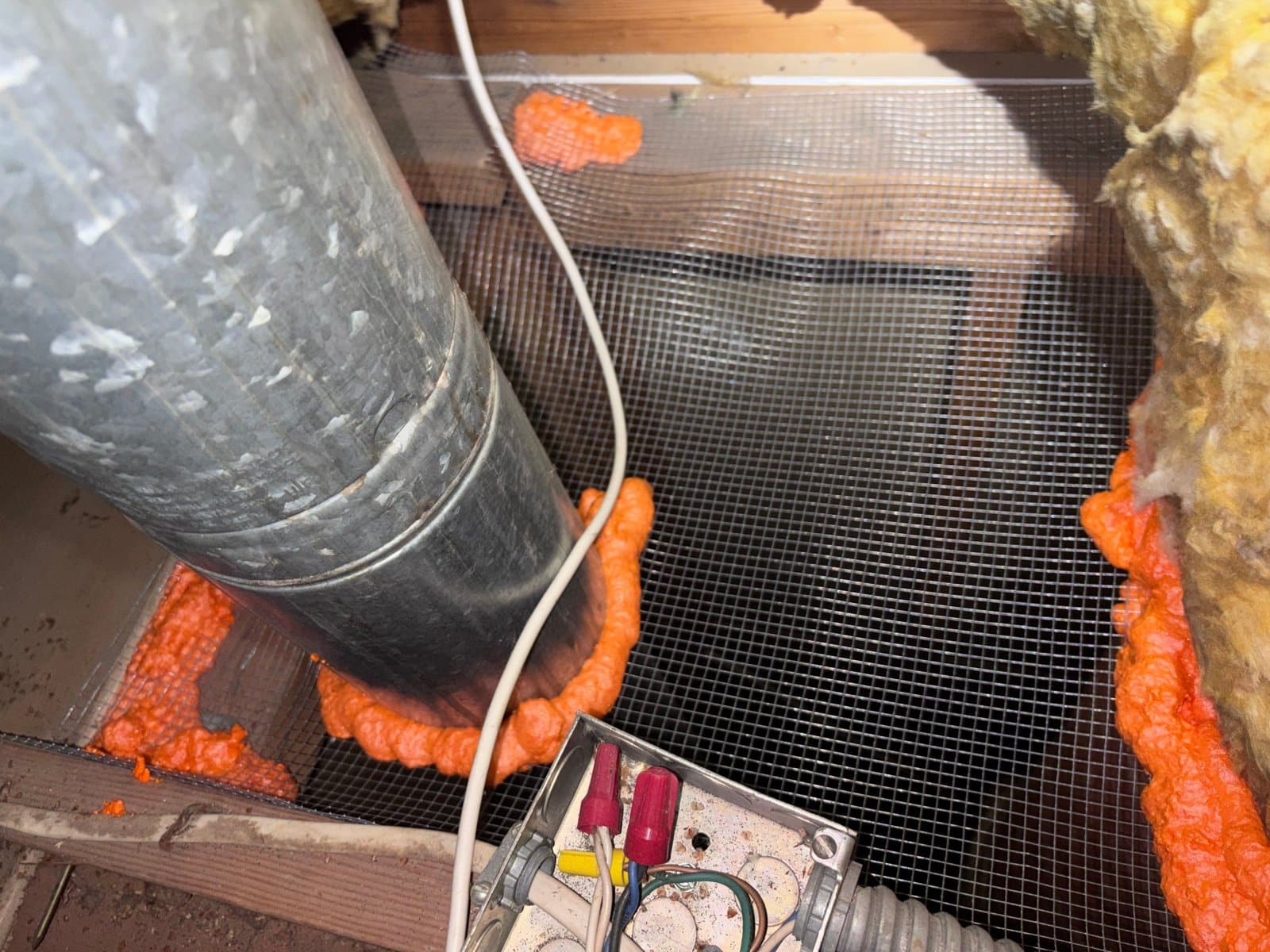 Wire mesh and foam sealing an attic opening in Thousand Oaks