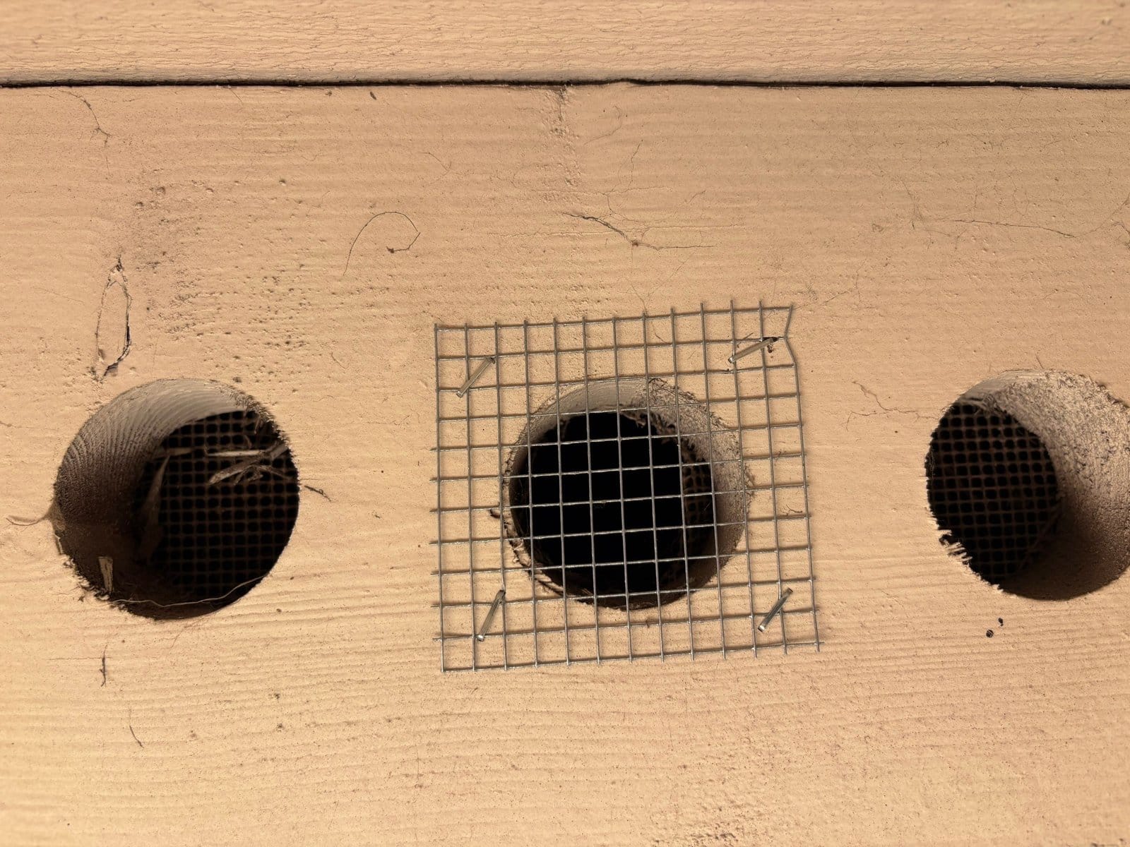 Attic vent screened with wire mesh in Thousand Oaks