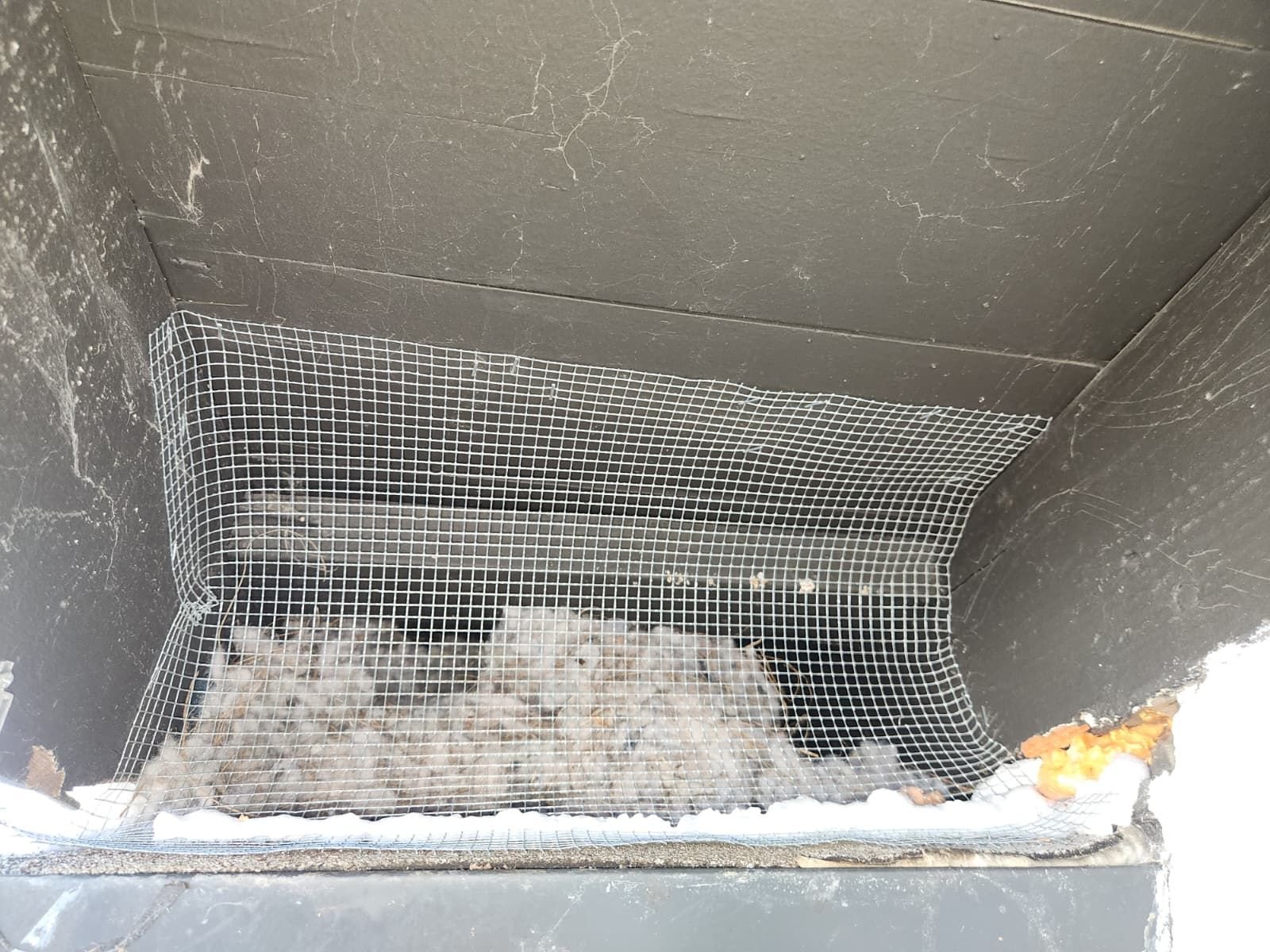 Attic vent screened with wire mesh in Torrance