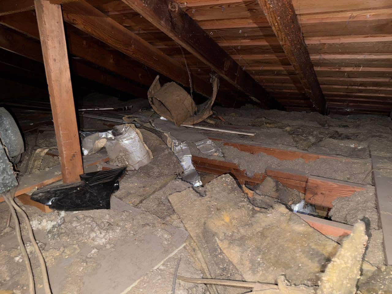 Tracy attic before work, old insulation