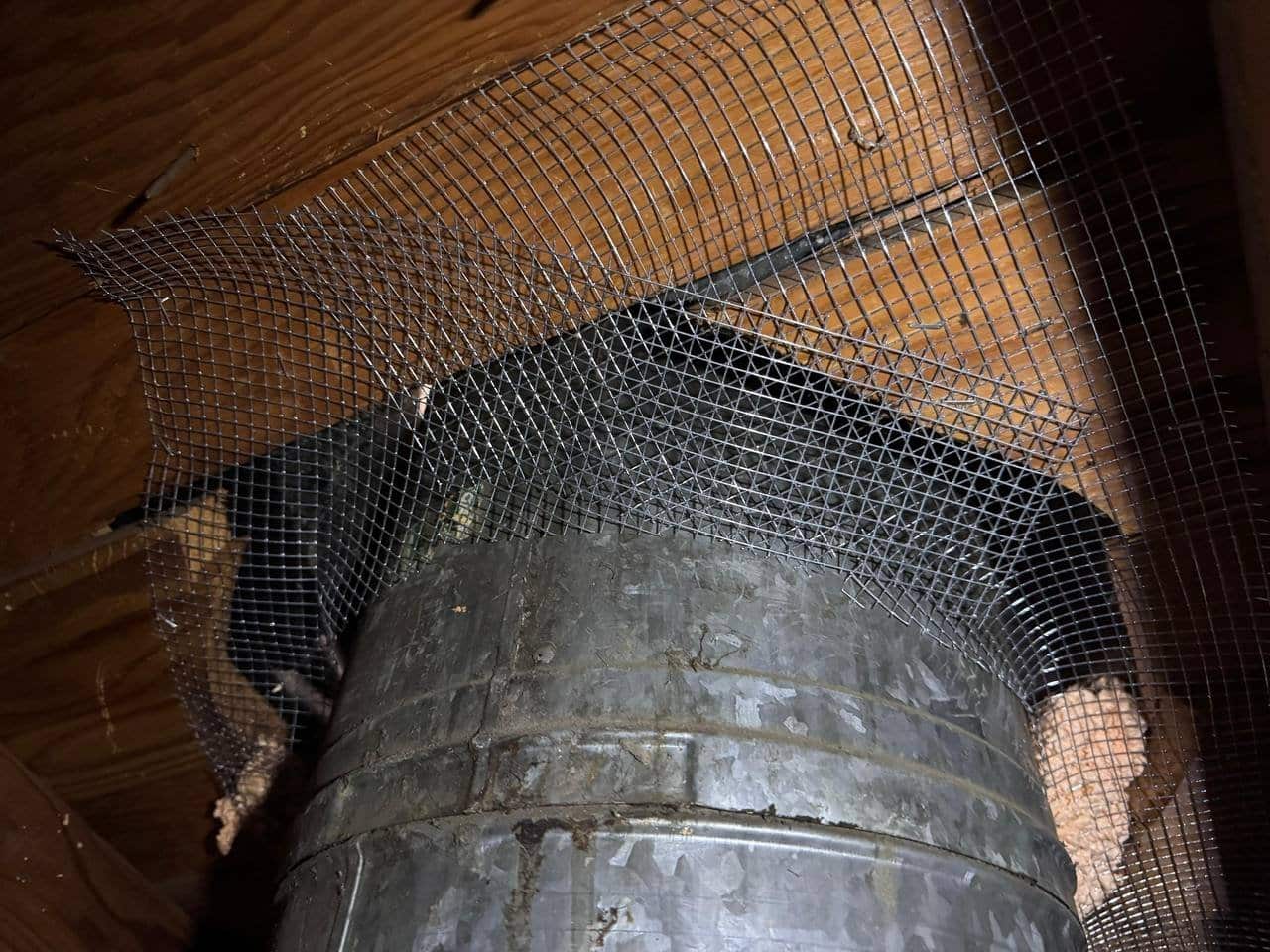 Wire mesh rodent proofing around a flue in a Tracy attic