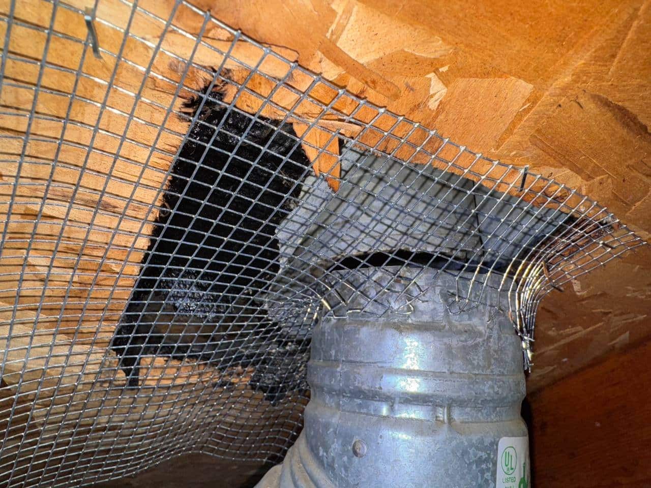 Wire mesh rodent proofing around a flue in a Vacaville attic