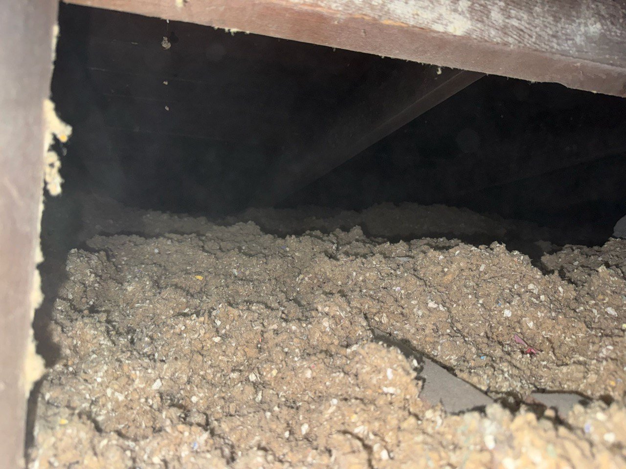 New blown-in insulation between attic framing in West Covina