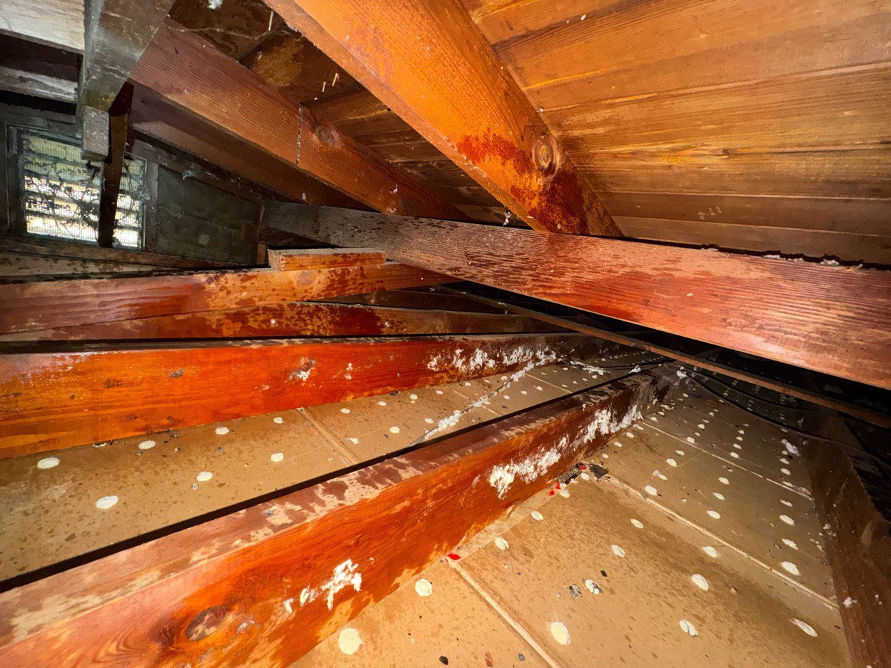 West Covina attic after removal, joists and deck cleaned