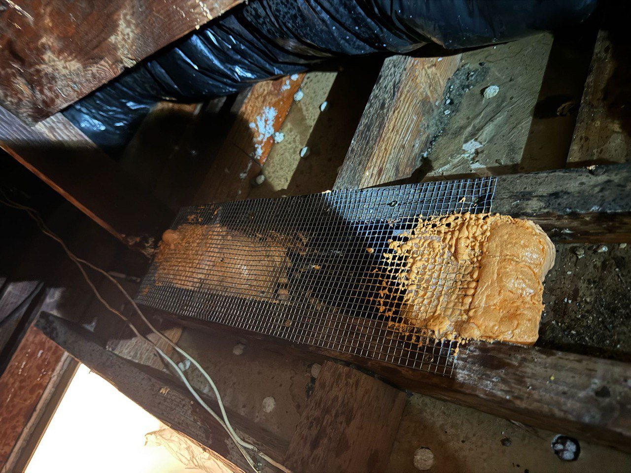 Wire mesh and foam sealing an attic opening in West Covina