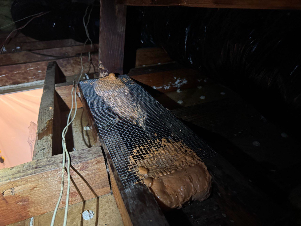 Wire mesh rodent proofing at an attic edge in West Covina
