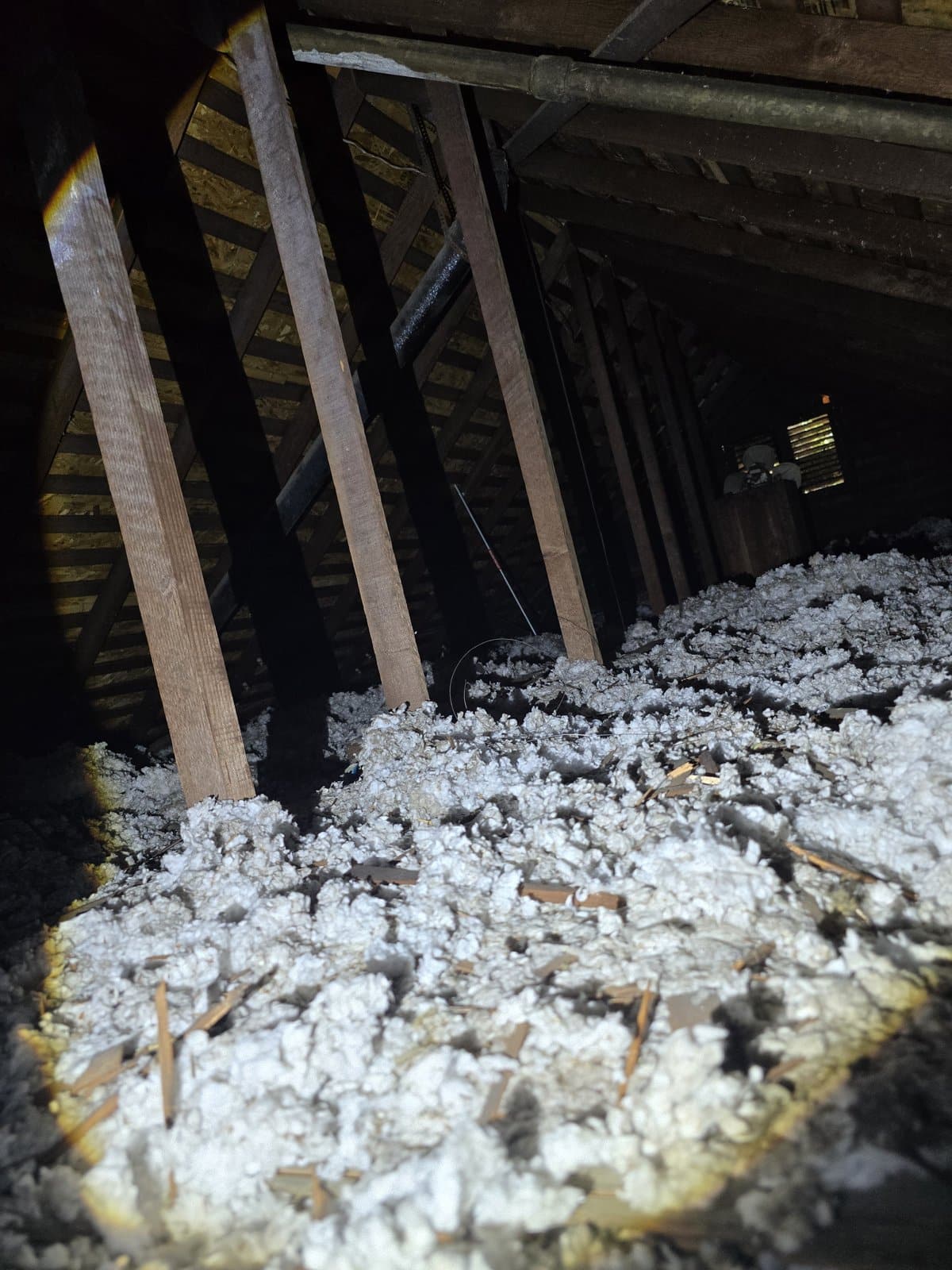 Attic Insulation Replacement & Rodent Proofing in Pasadena, CA