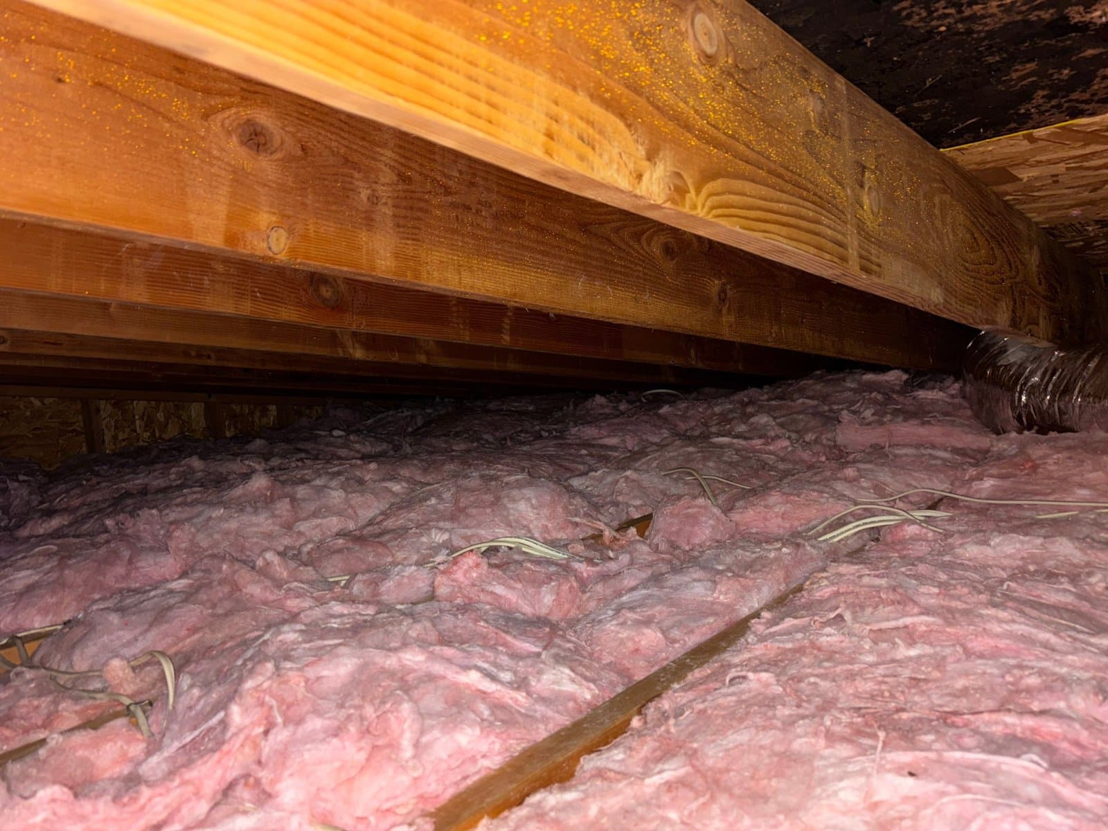Attic Insulation Replacement & Rodent Proofing in Pasadena, CA