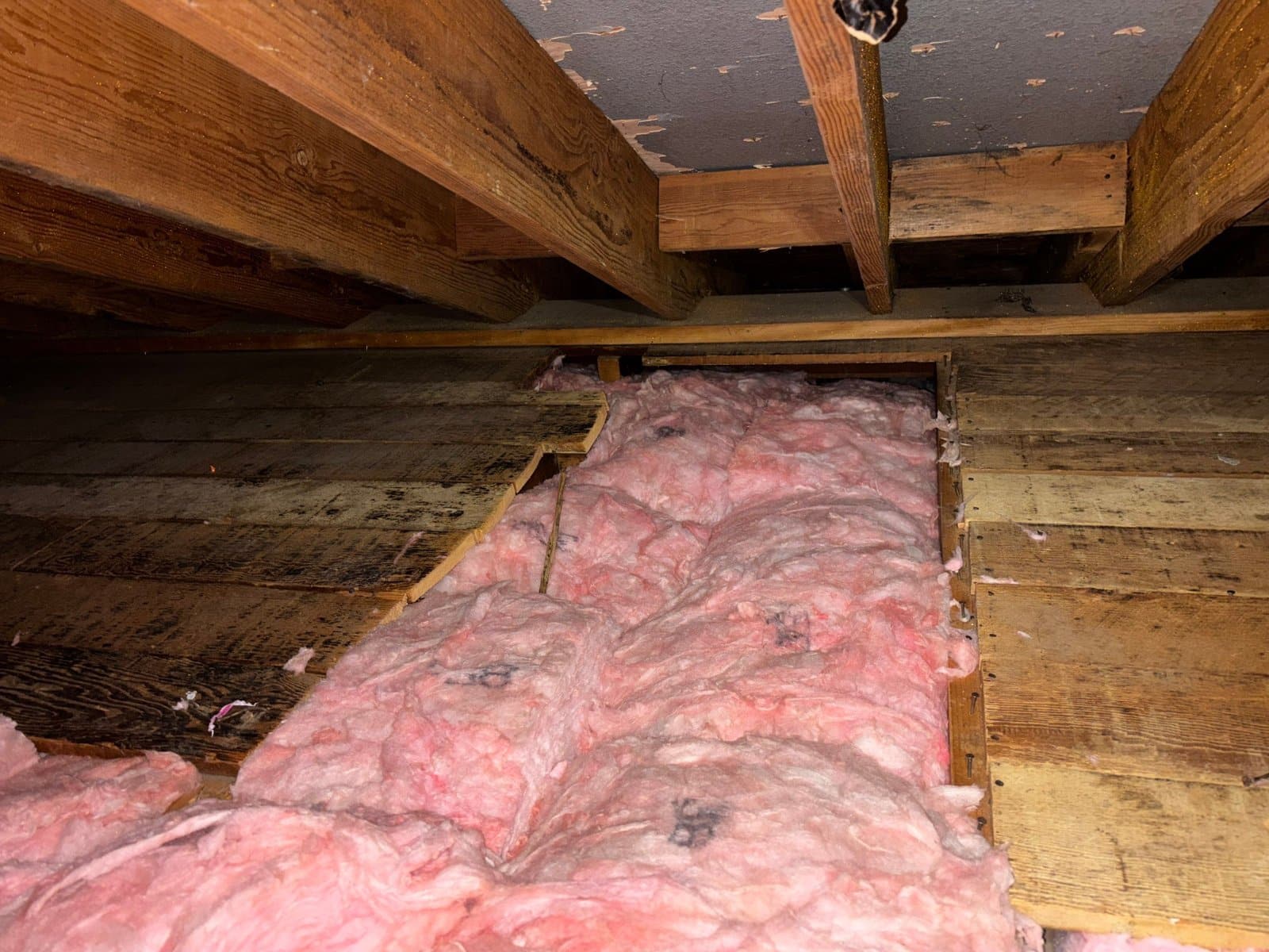 New fiberglass batts between attic joists in Pasadena