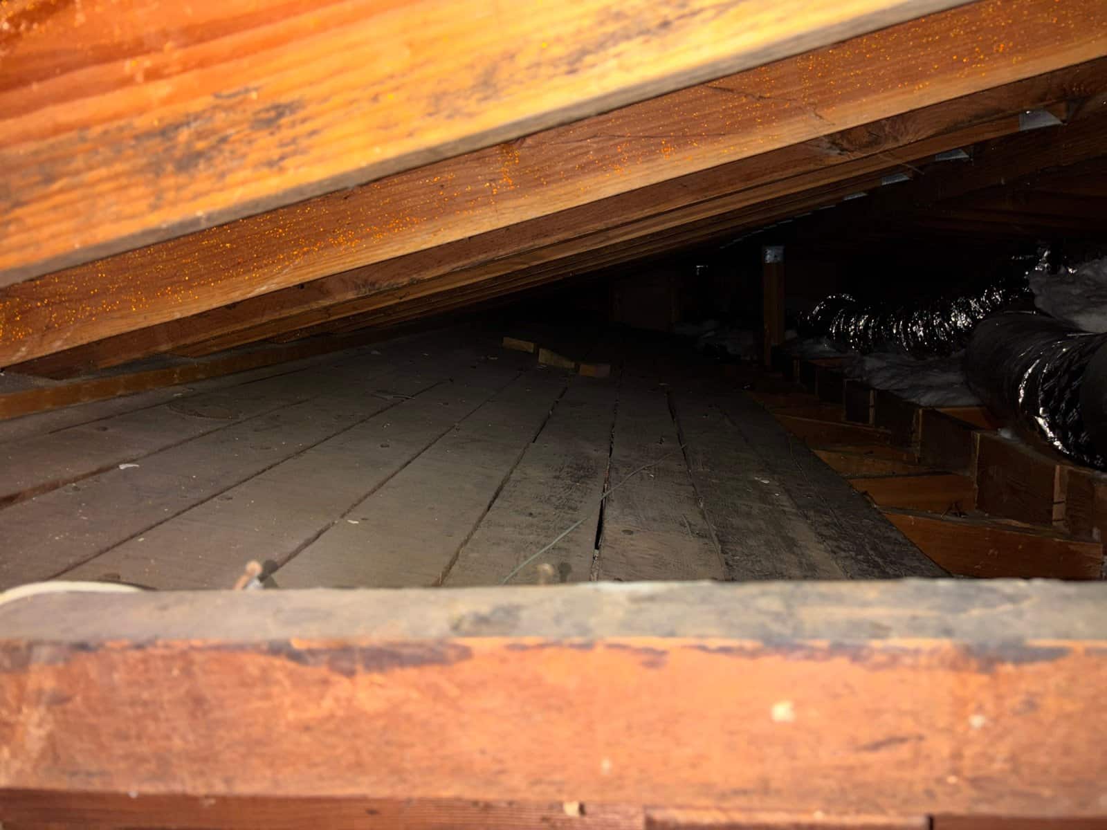 Pasadena attic after removal, joists and deck cleaned