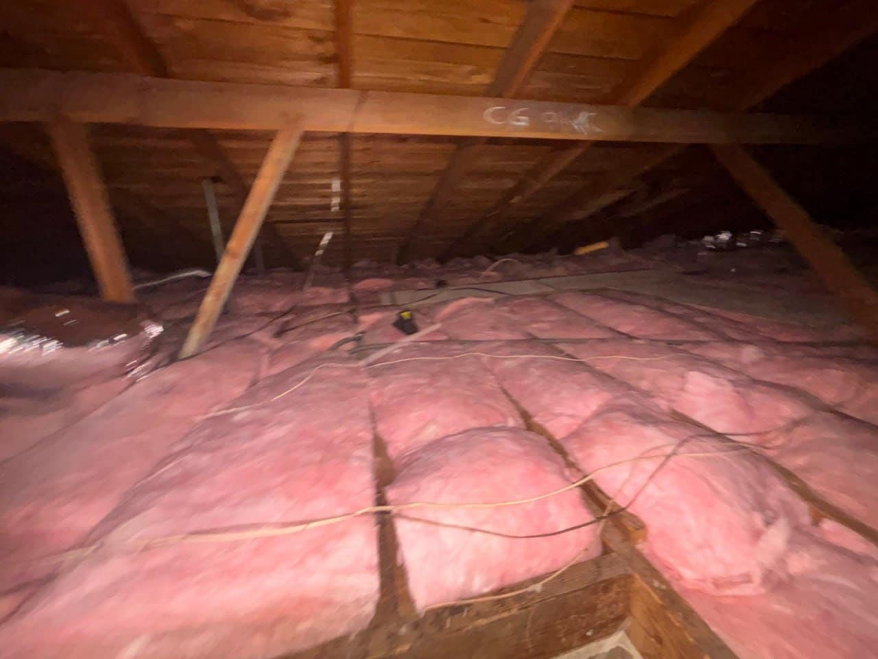 Attic Insulation Replacement & Rodent Proofing in Pasadena, CA