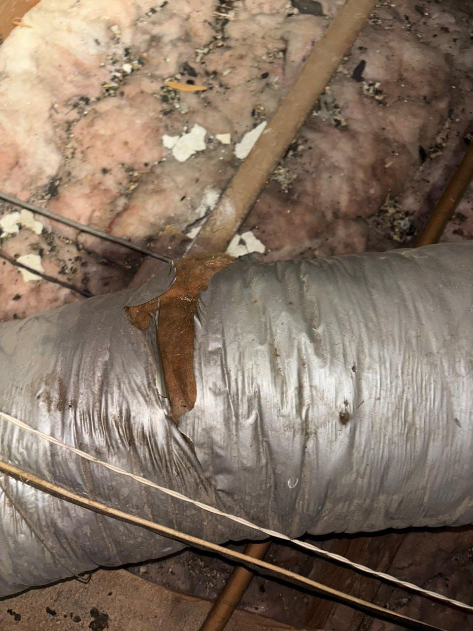 Contaminated old insulation in a Pasadena attic before work