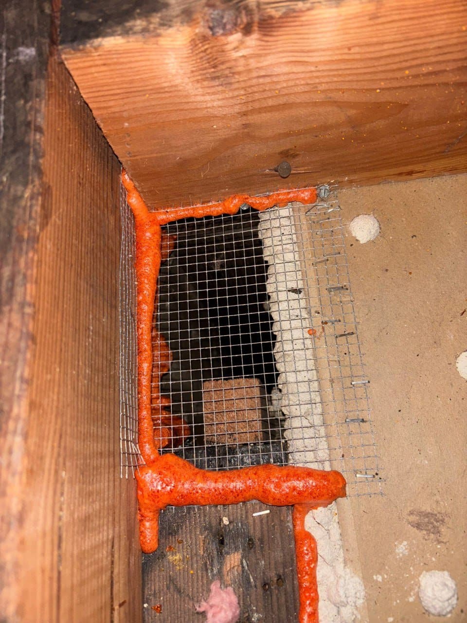 Rodent proofing with wire mesh and polyurethane foam in a Pasadena attic